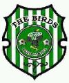 The Birds