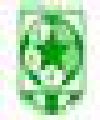 Estrella