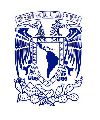 Universidad Nacional Autónoma de México