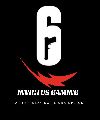 INVICTUS GAMING