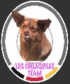 Los Chilaquiles Team