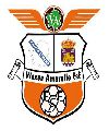 Viaxes Amarelle