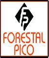 Forestal Pico