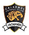 Jaguares Negros de Calakmul