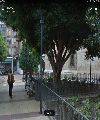 San Nicolas