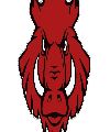 C.F. VALLVIDRERA SENGLARS