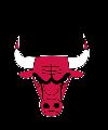 Chicago Bulls