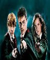 Los Harry Potter