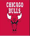 Chicago Bulls