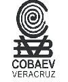 3.- COBAEV SAT