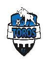 Toros