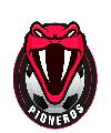 Pioneros