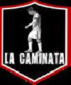 Bermejo