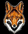 D´Fox de Vecindario