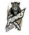 Pumas del Sur