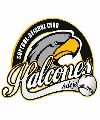 Halcones de Adeje