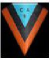 Brown (A)