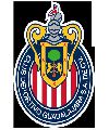 Guadalajara