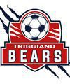 Triggiano Bears