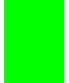 Equipo verde