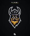 Vikingos