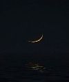 Sin Estrellas