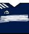 New England Revolution (Estados Unidos)