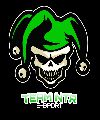 TEAM NTR E-SPORTS