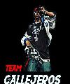 TEAM CALLEJEROS
