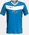 PIR