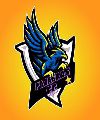 PajaBros FC