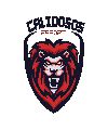 CALIDOSOS ESPORTS