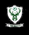 MALDITOS SIELVOS CFS
