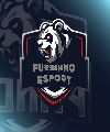 FURBIHNO ESPORTS