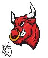 Bulls