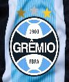 GREMIO FBPA