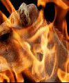THE FLAMING CAMEL