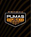 Pumas