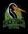 Villanueva Black Storks