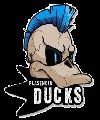 Plasencia Ducks