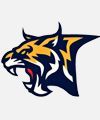 Lynx Gaming