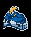 Día Nublado FC