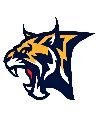 Lynx Gaming