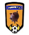 UNIÓN POMAIRE