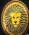 LOS LEONES NEGROS