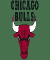 Chicago Bulls