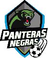 Panteras