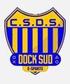 Dock Sud eSports