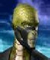 Reptile