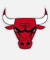Bulls FC